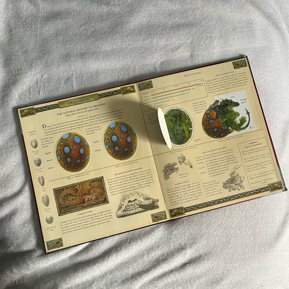 3/$20 Books: Dragonology - The Complete Book of Dragons by Dugald Steer - Picture 3 of 3